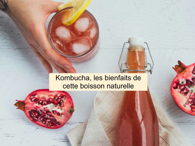 Kombucha bienfait intestin boisson naturelle ciao kombucha